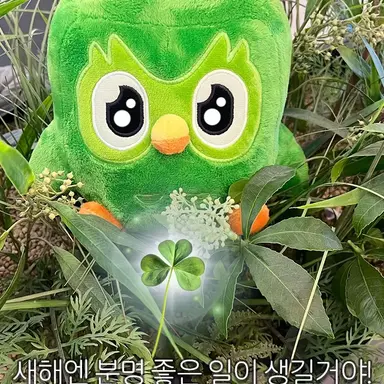 Profile image of 여우