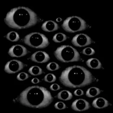 Profile image of RUN