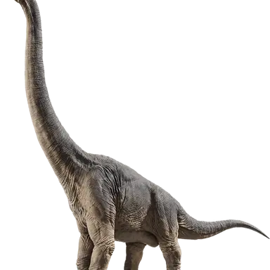 Profile image of 브라키오사우르스