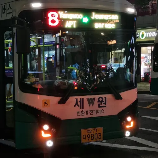 TartSmog7763의 버스할머니