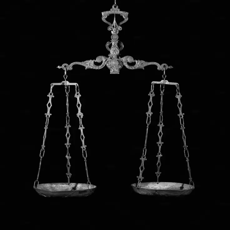 VoidZERO의 モルモット