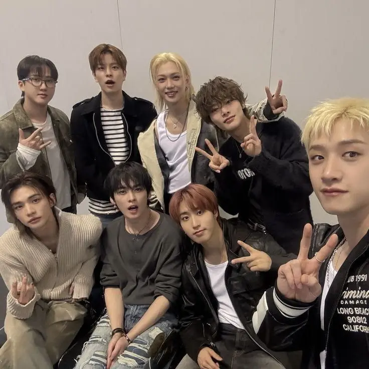 levv4nter의 Stray Kids - 9th Member