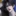정휘율
