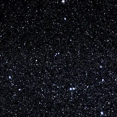 Profile image of 해설