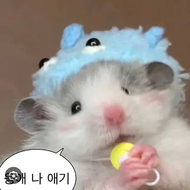 Profile image of 같은반 여자애들