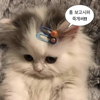 Profile image of 유저