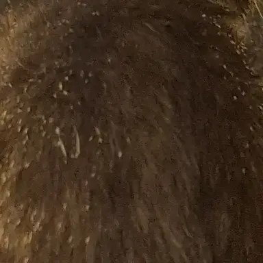 Profile image of ㅁㅈㅎ