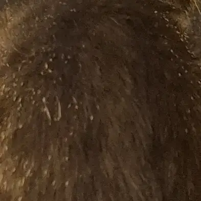 Hahah1212의 ㅁㅈㅎ