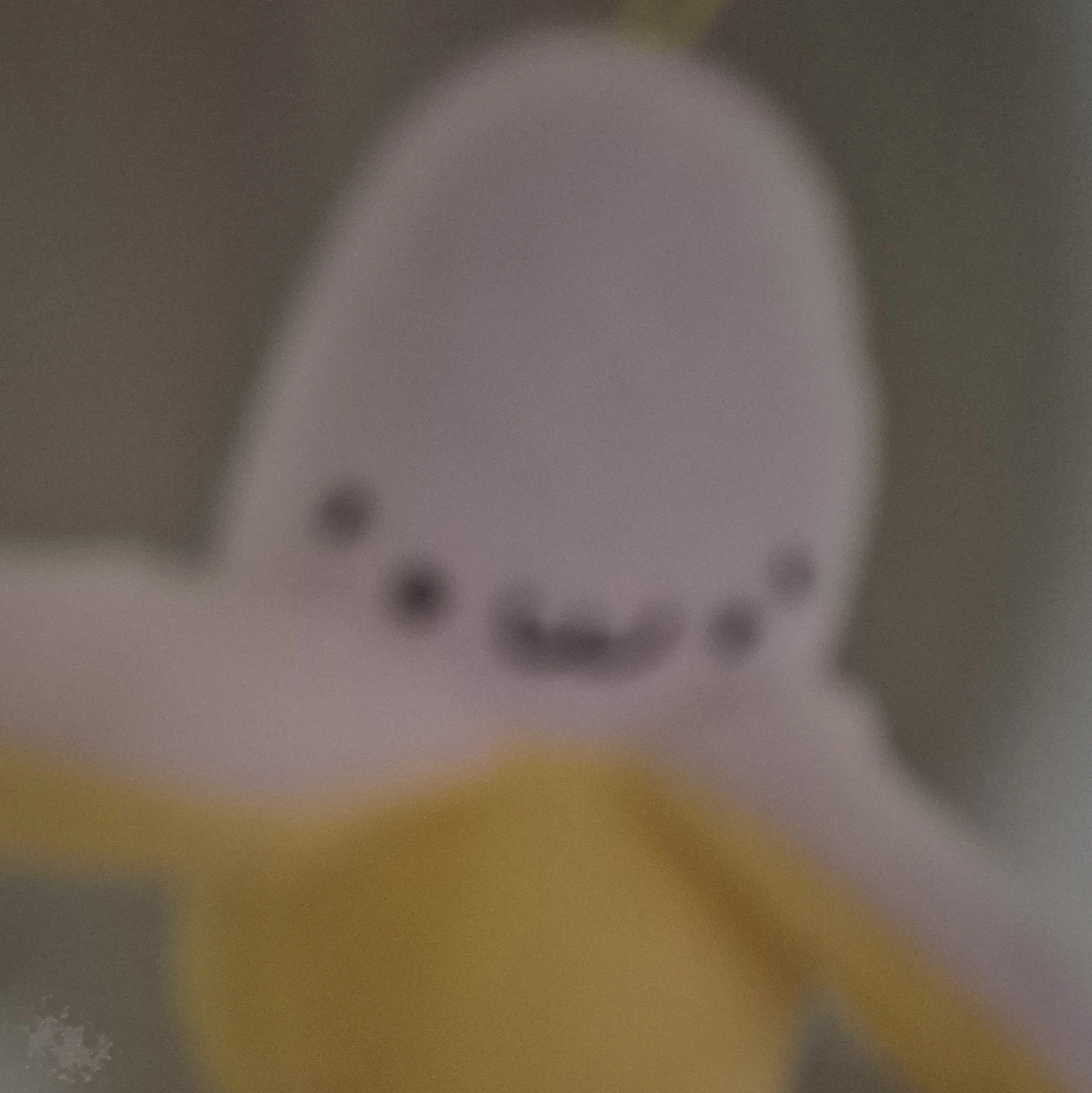 나나선생님