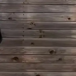 Profile image of 김성준