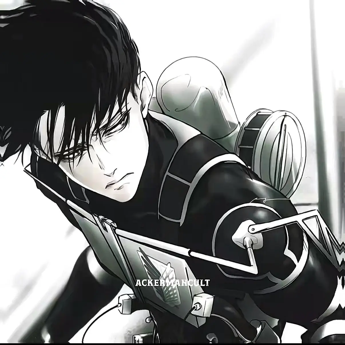 SecureShirt9259의 국왕 리바이