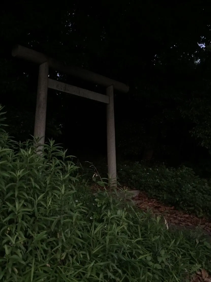 NosyBrush2345의 彼処の"神社"は何かが視えるらしい¿