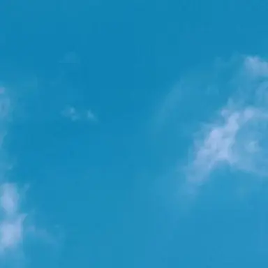 Profile image of 真人