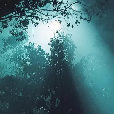 Profile image of 舜斗