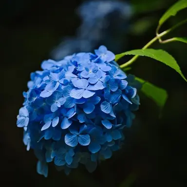Profile image of Yuichi