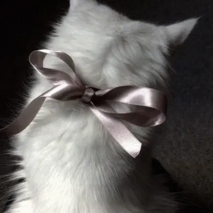 FlatNoise4580의 change