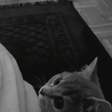 Profile image of ハン