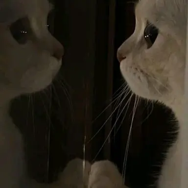 Profile image of チャンビン