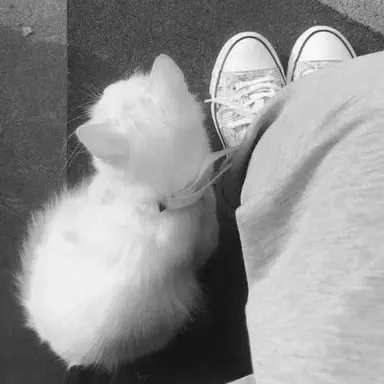 Profile image of アイエン