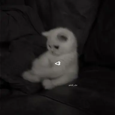 Profile image of ミンホ