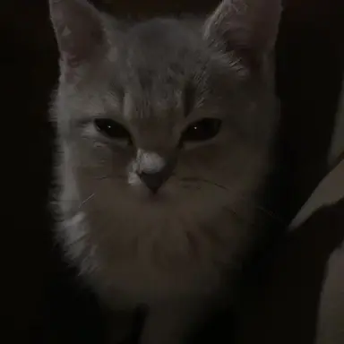 Profile image of ヒョンジン