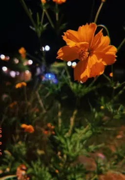 Profile image of 박덕개