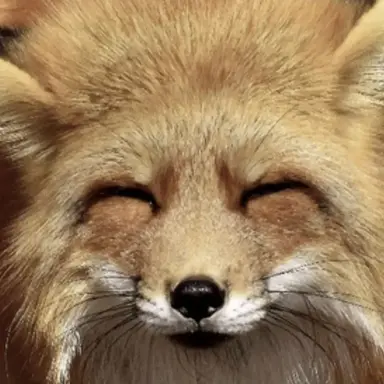Profile image of 여우