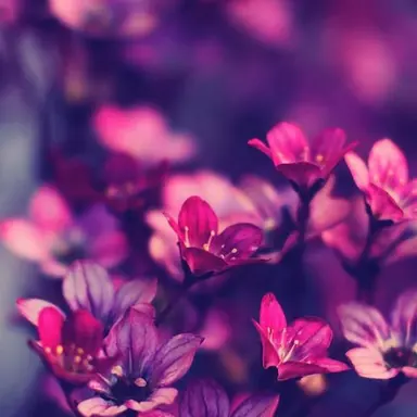 Profile image of 小島健