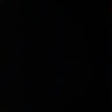 Profile image of Na Hwajin
