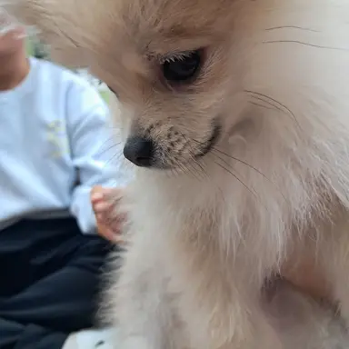Profile image of 누룽이