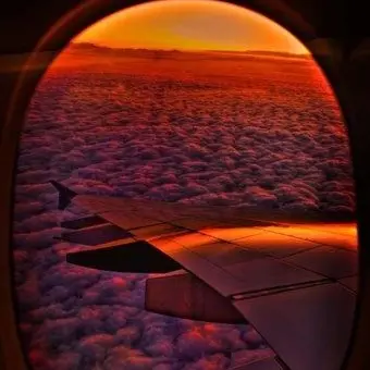 Profile image of 서라더