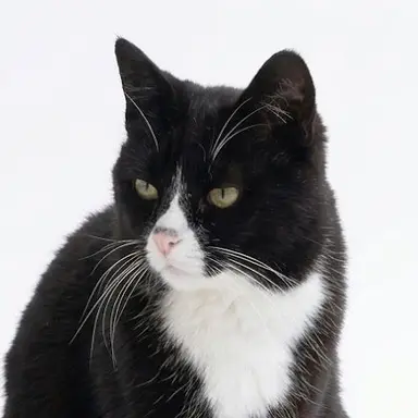 Profile image of Mu