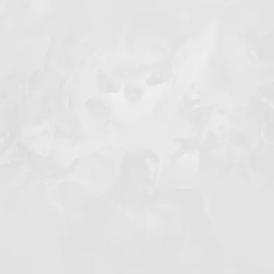 widjd의 메모장