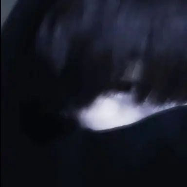 Profile image of せり