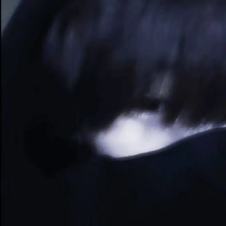 qwertyu123의 あいうえお
