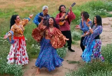 Profile image of The Volkovani