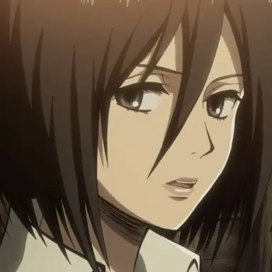 Profile image of ミカサ
