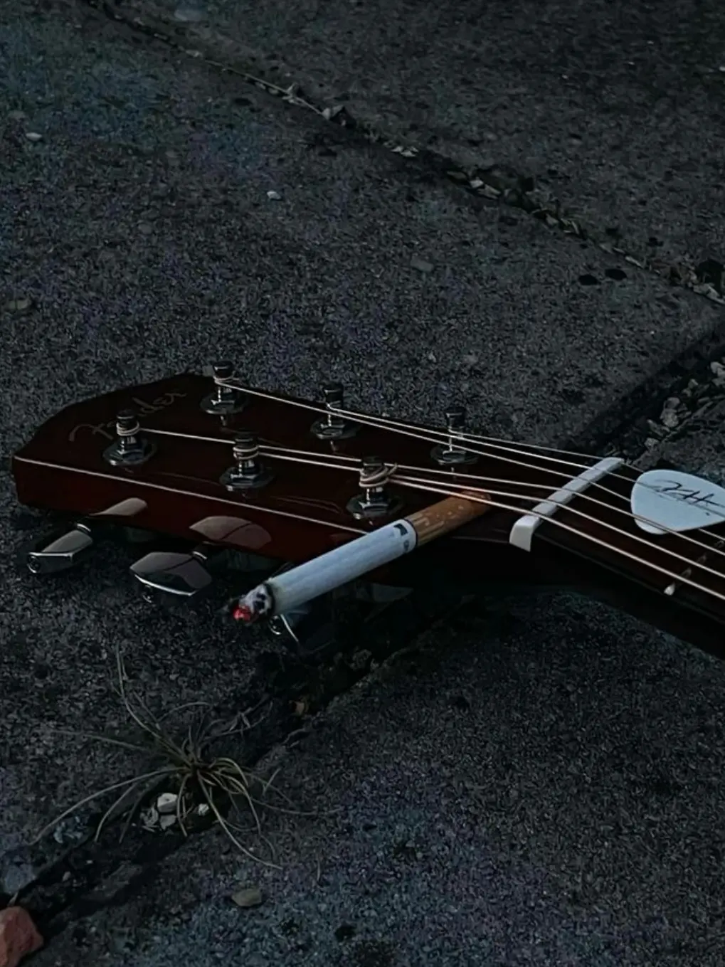 highqualityRevolution의 마루노우치 새디스틱