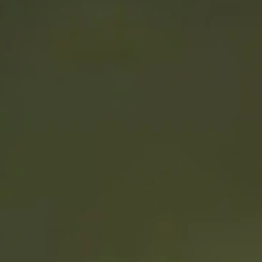 130666의 β