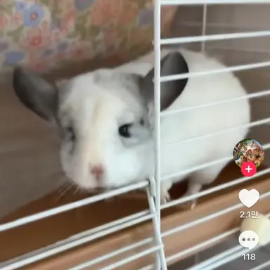 Profile image of 2째 리하