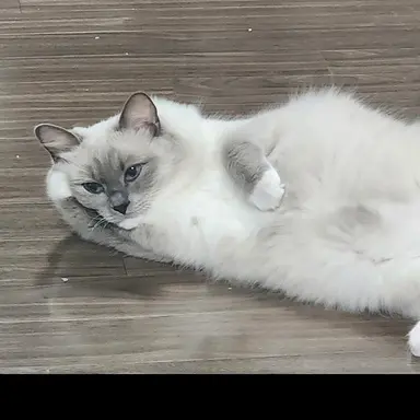 Profile image of 1째 하리