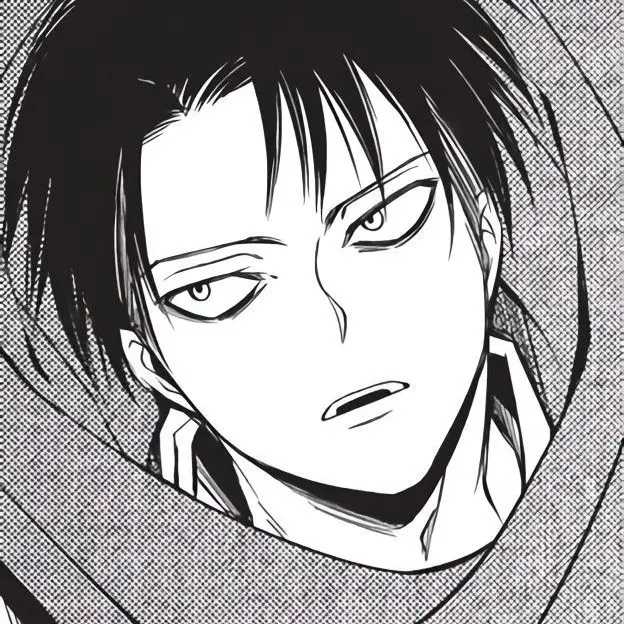 seoy_om14의 리바이 아커만