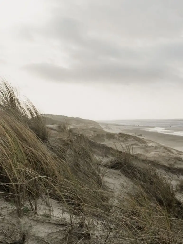 WryPhone5714의 바다가 여인을 울린다.