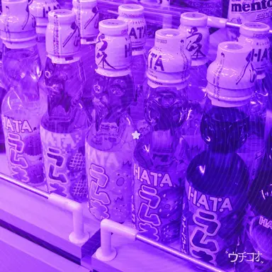Profile image of 진경은