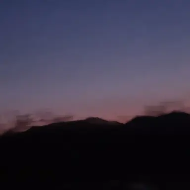 Profile image of 자유롭게