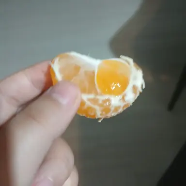 Profile image of 여우