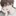 안지현