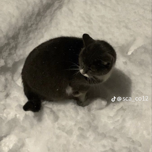 한도진 대표 이미지