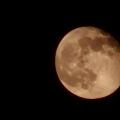 Profile image of 김은정