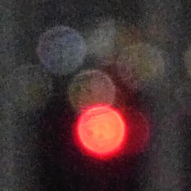 Profile image of 이지아